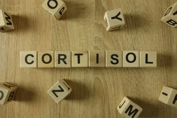 The Hidden Connection: How Stress Shapes Your Fitness and Body Composition 2 Image saying "Cortisol" and how stress Ayr impacts your wellbeing and bodies shape